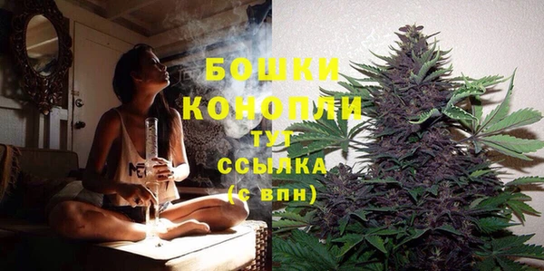 прущая мука Инта