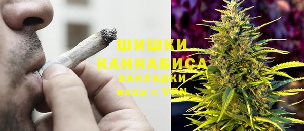 прущая мука Инта