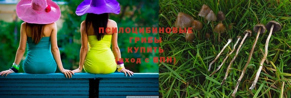 прущая мука Инта