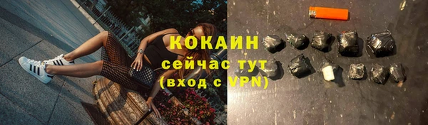 прущая мука Инта
