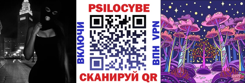 Купить где  Кимовск  Псилоцибиновые грибы Magic Shrooms 