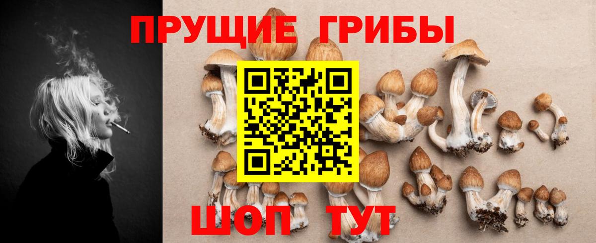 Галлюциногенные грибы Psilocybe  Псилоцибиновые грибы прущие грибы  Вход с VPN  купить  цена  Кимовск 