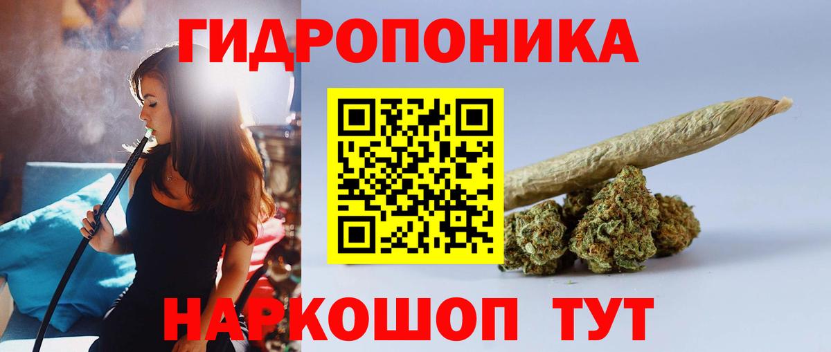 Каннабис конопля Кимовск